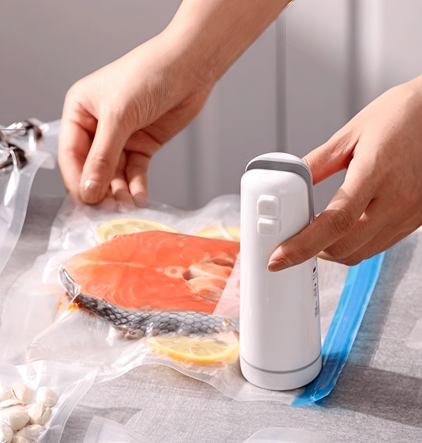 Handheld vacuum sealer preserving fresh salmon fillets with lemon slices in a reusable vacuum bag, keeping seafood airtight and fresh.